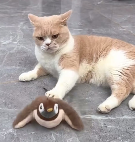 Oiseau interactif