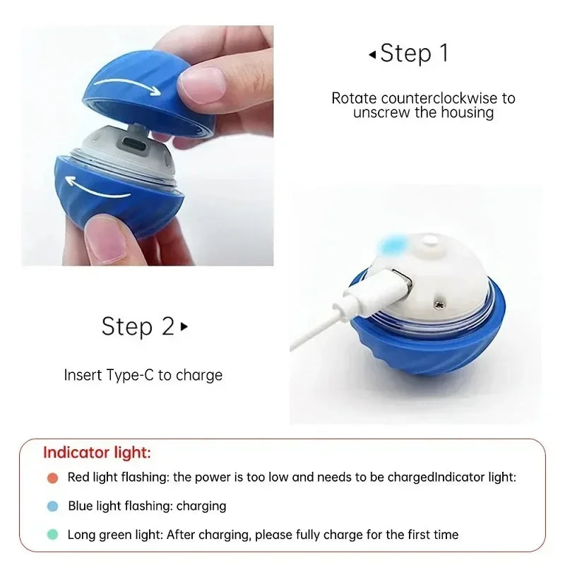 interactive ball