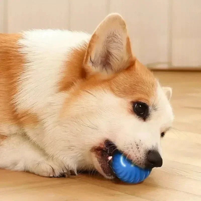 interactive ball
