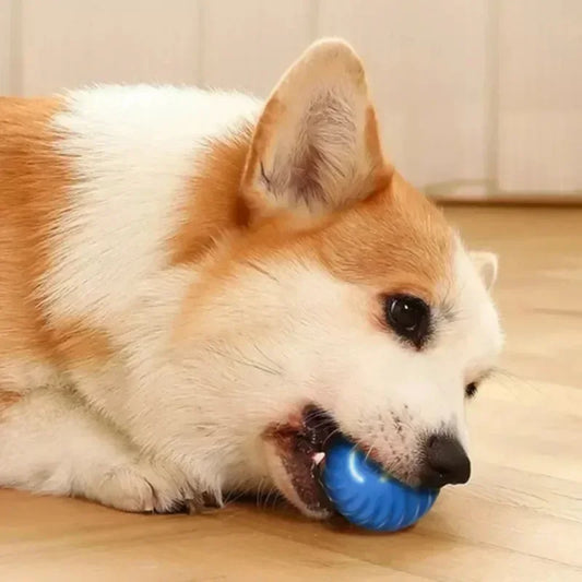 interactive ball