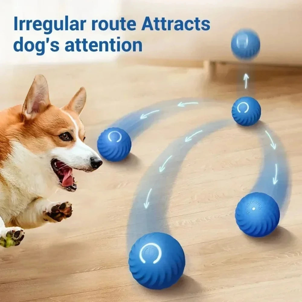 interactive ball